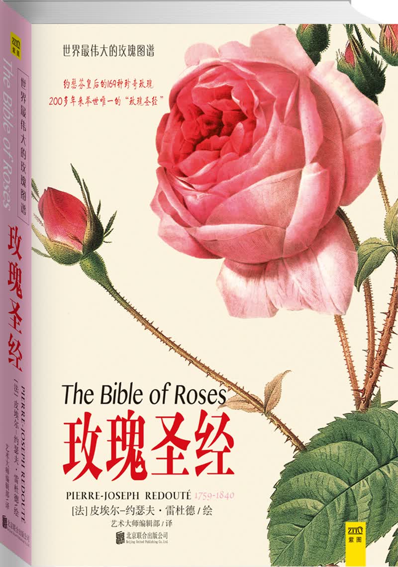 玫瑰圣经