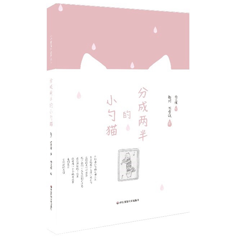 正版图书 分成两半的小勺猫 分成两半
