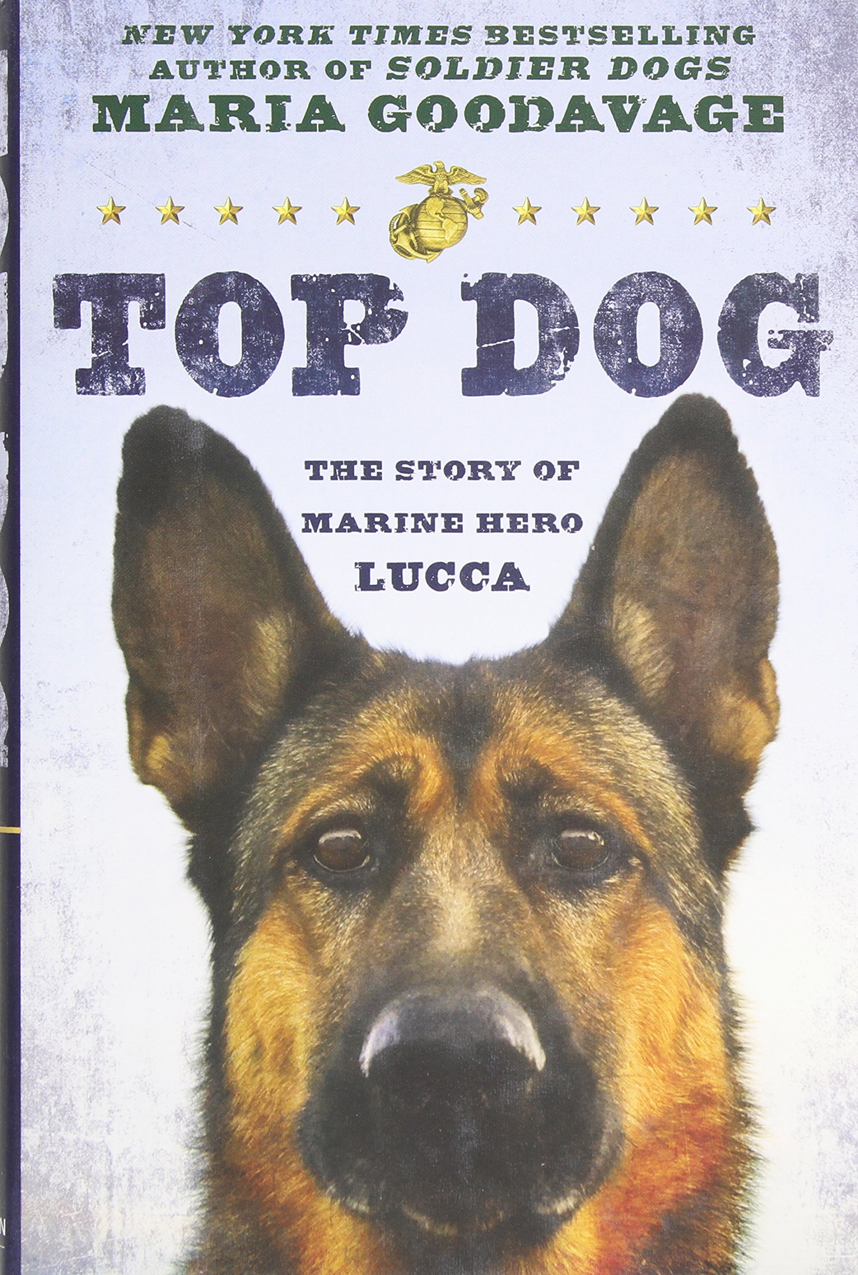Top Dog The Story of Marine Hero Lucca
