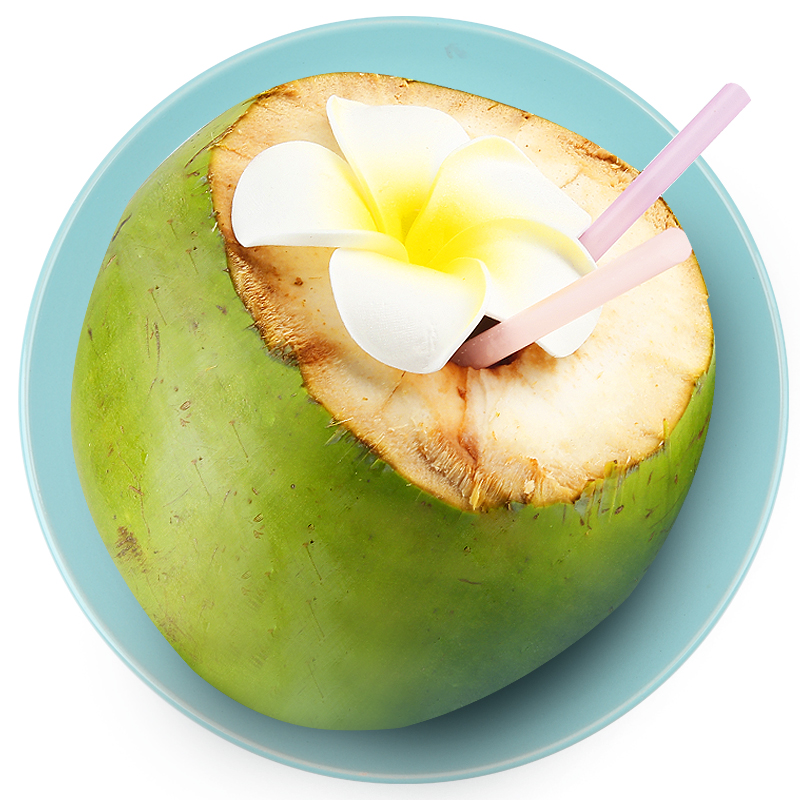 曙光海南青椰子