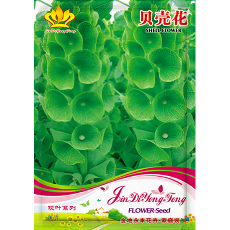 景天种子 贝壳花彩页草草坪花地肤高山积雪种子 贝壳花种子20粒*10袋