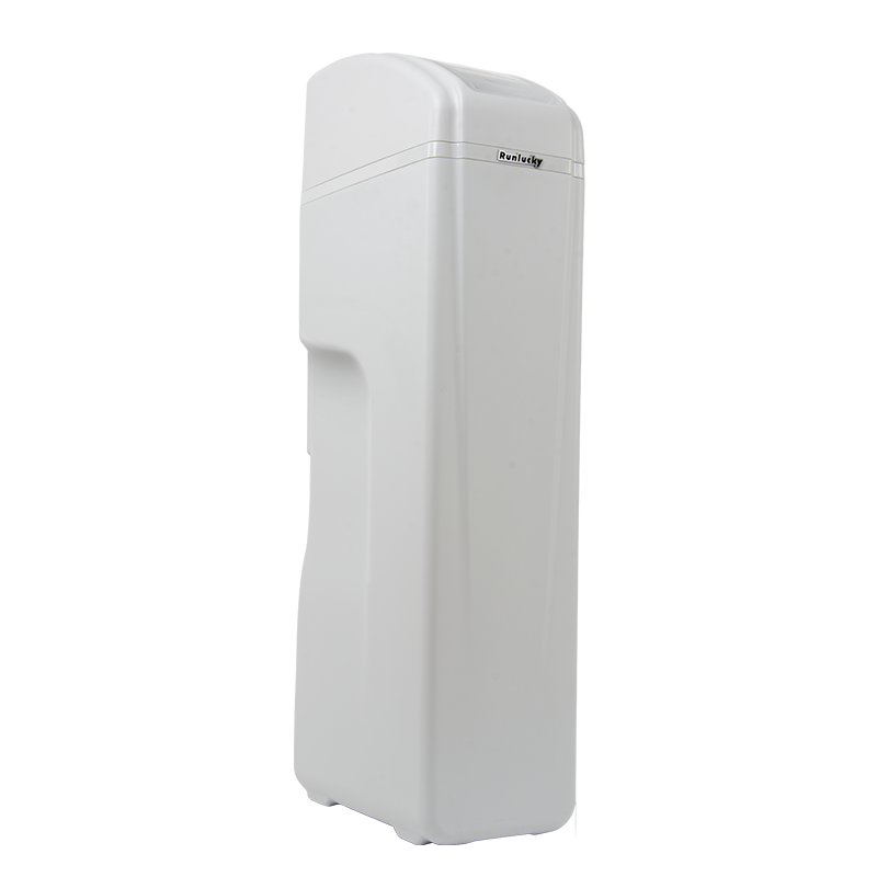润莱 中央家用软水机 全屋软水机 净水器除水垢 RL-R60C / R110C RL-R110C（2卫 2-4口人）
