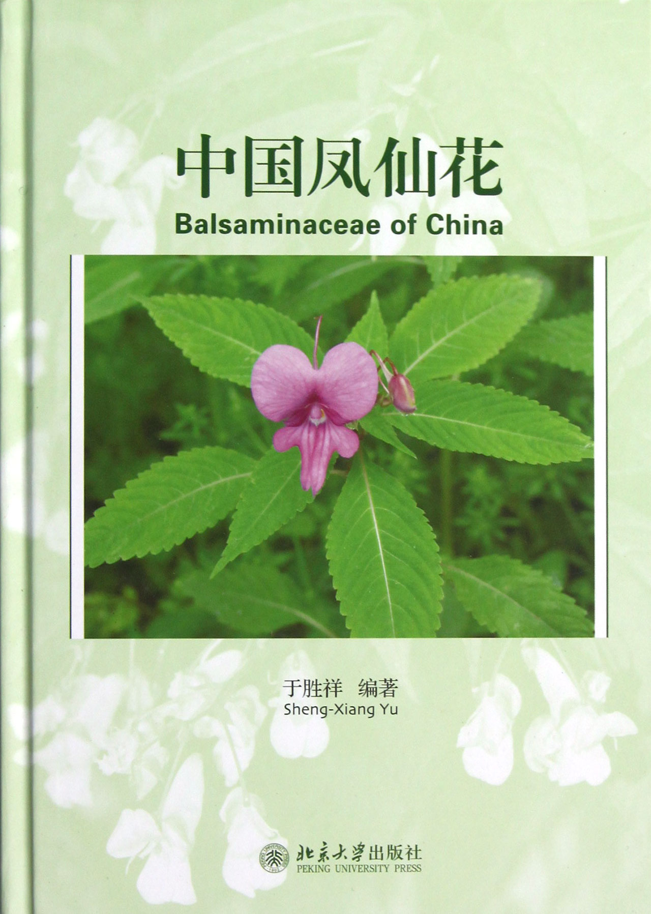 中国凤仙花(精)