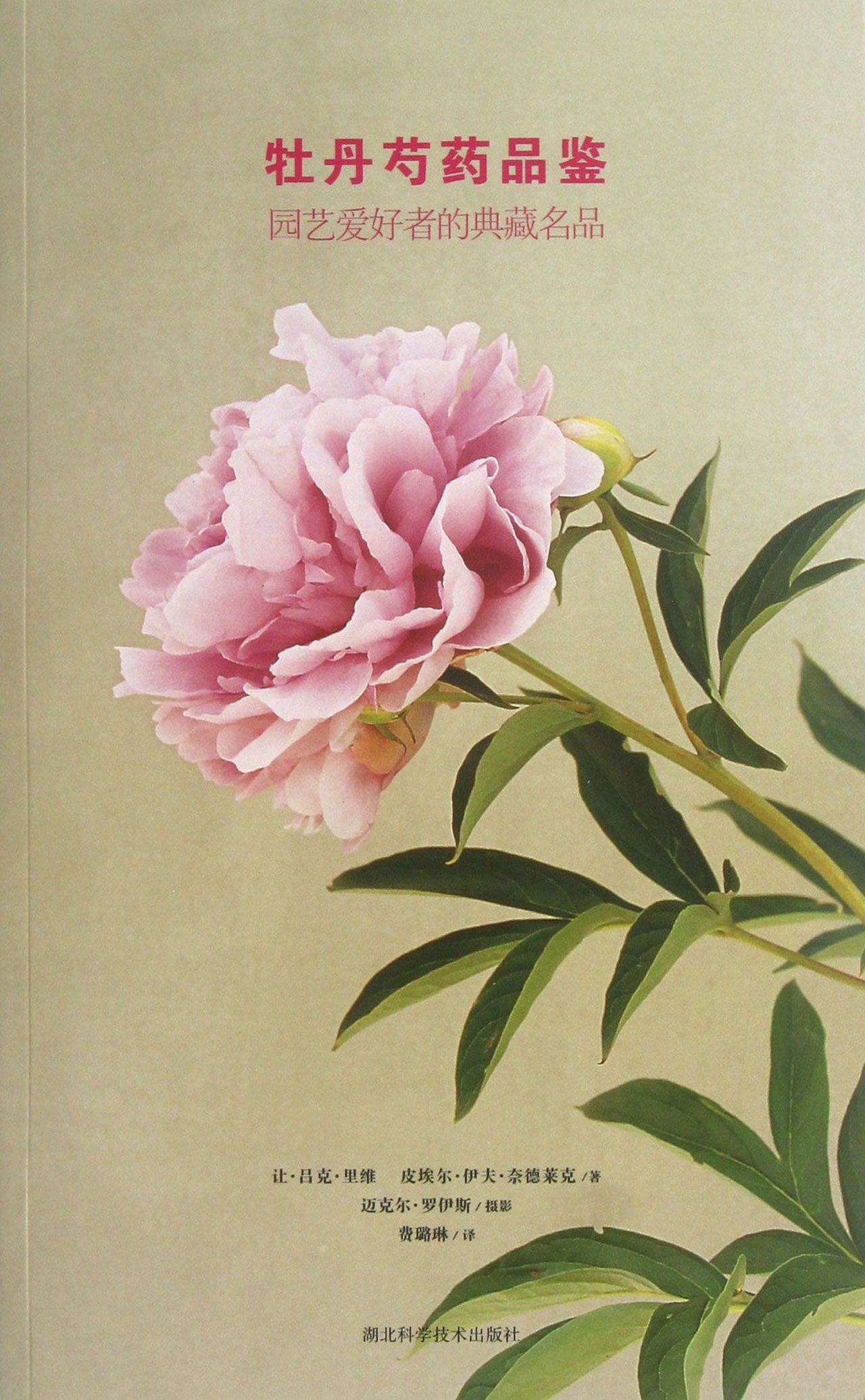 牡丹芍药品鉴(园艺爱好者的典藏名品)