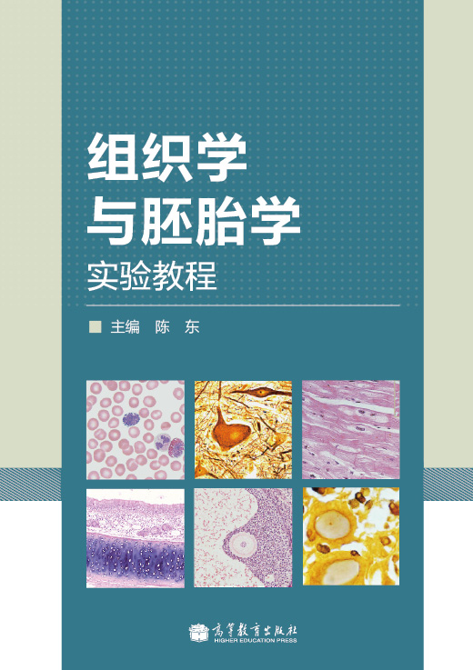 组织学与胚胎学实验教程