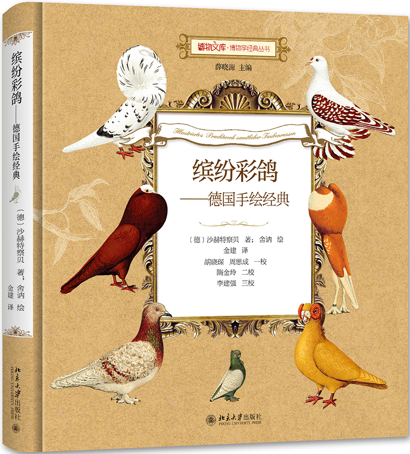 缤纷彩鸽 德国手绘经典