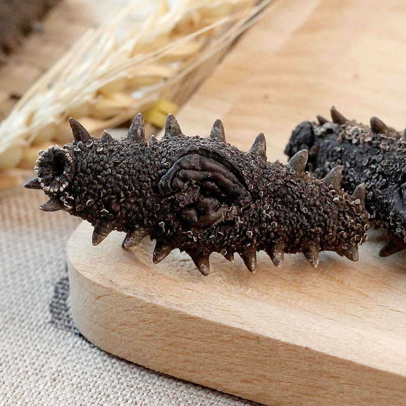 参福元大连野生干海参