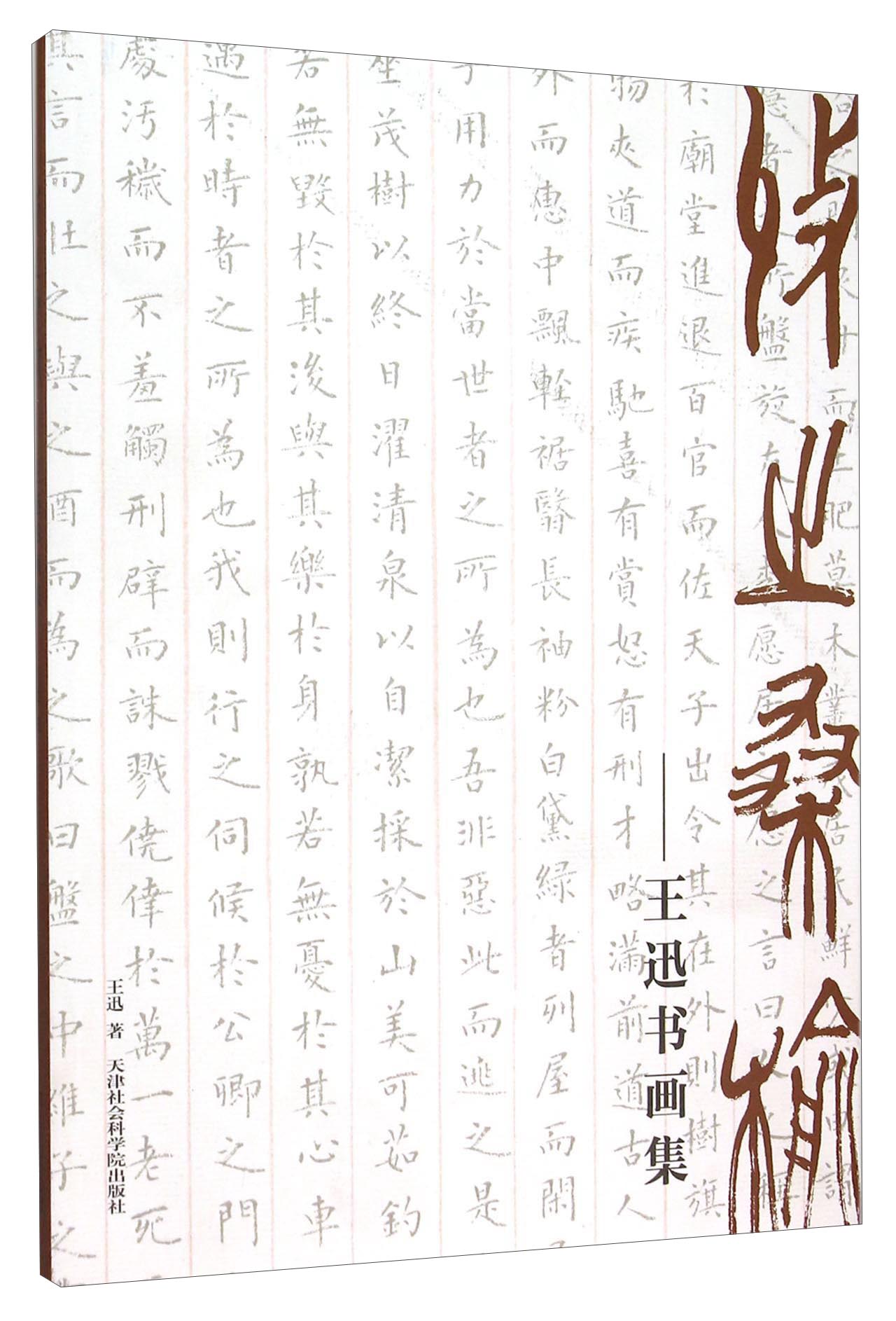 收之桑榆 王迅书画集