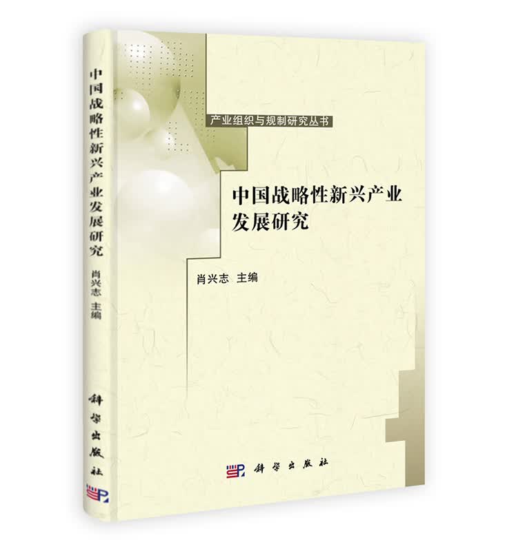 [按需印刷] 中国战略性新兴产业发展研究