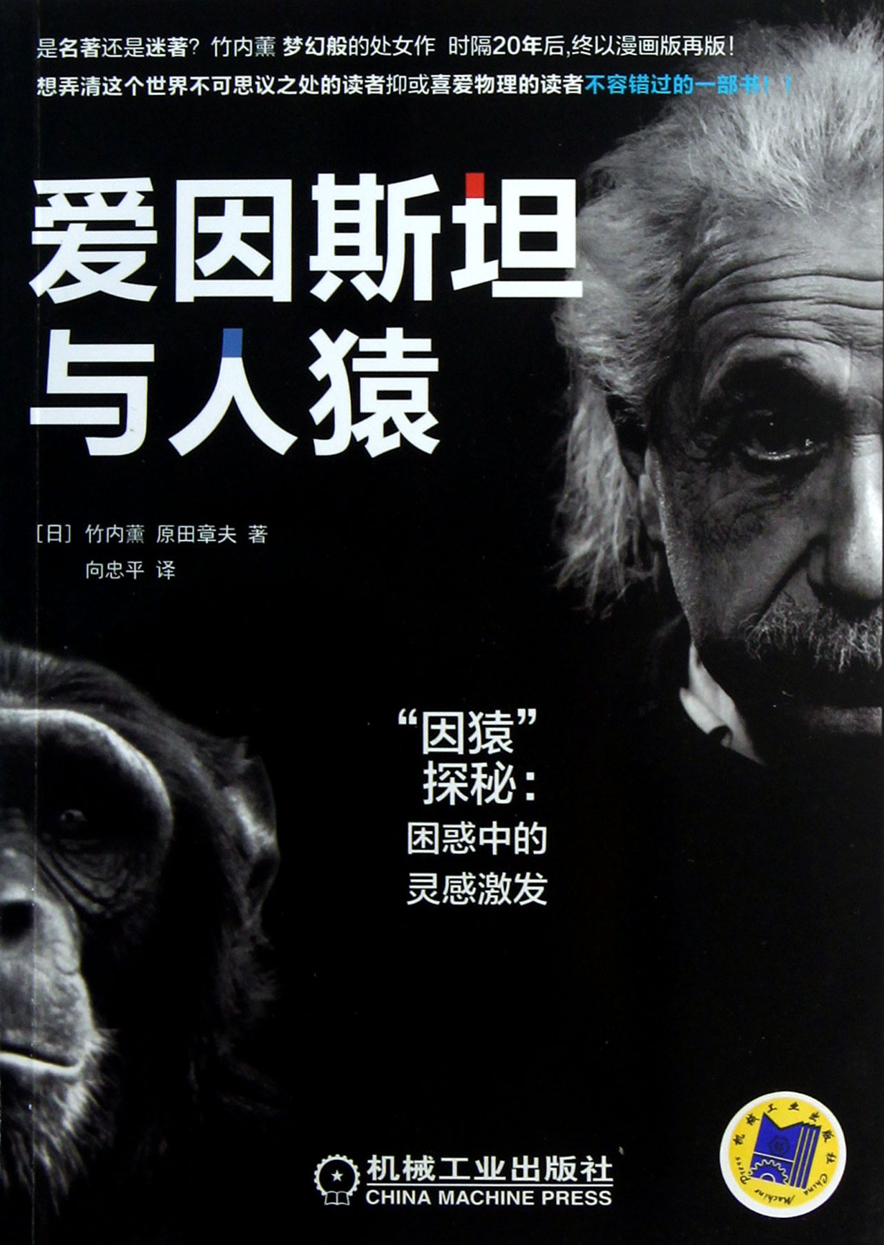 爱因斯坦与人猿(因猿探秘困惑中的灵感激发)