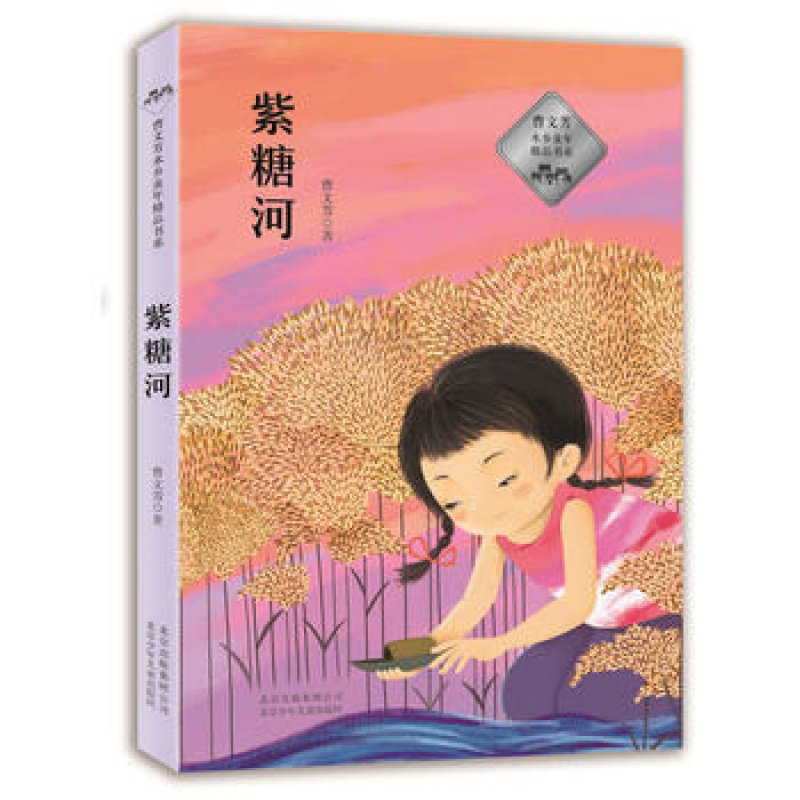 曹文芳水乡童年精品书系 紫糖河 曹文芳 儿童文学作品 青少年课外读物
