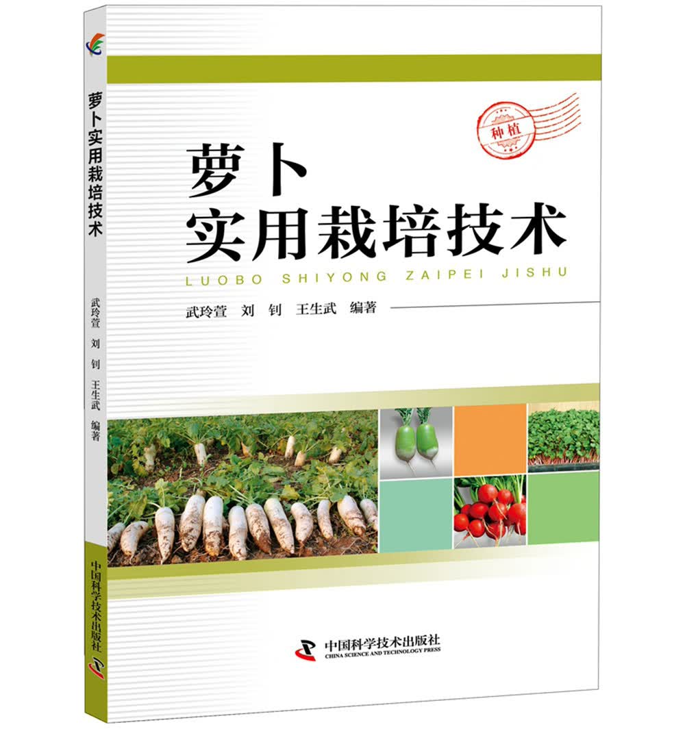 萝卜实用栽培技术