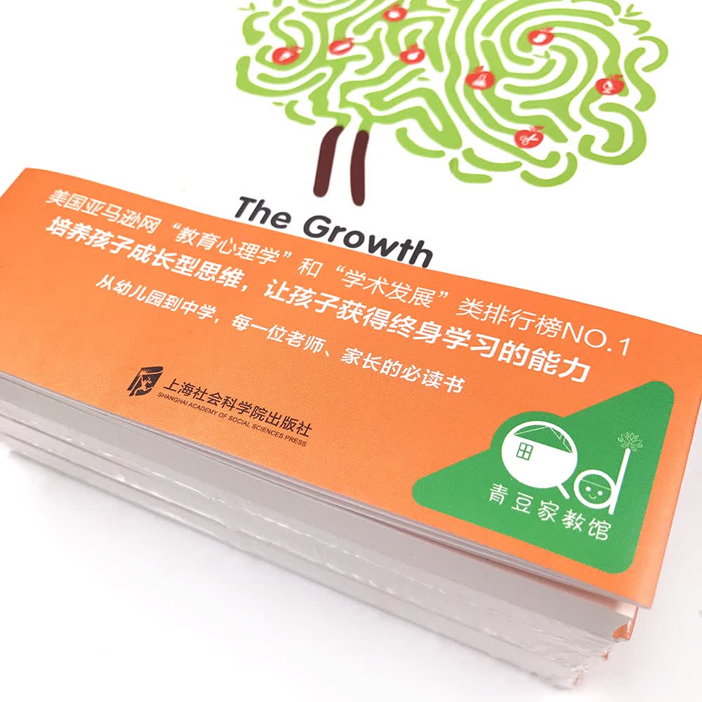成长型思维训练：12个月改变学生思维模式指导手册详情图