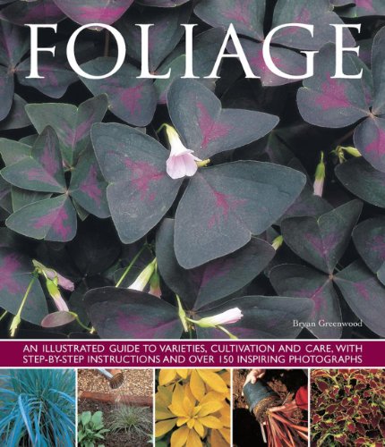 【预订】foliage: an illustrated guide to