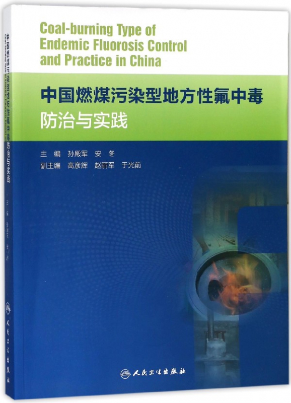 中国燃煤污染型地方性氟中毒防治与实践