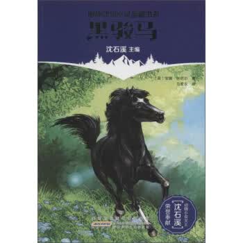 黑骏马