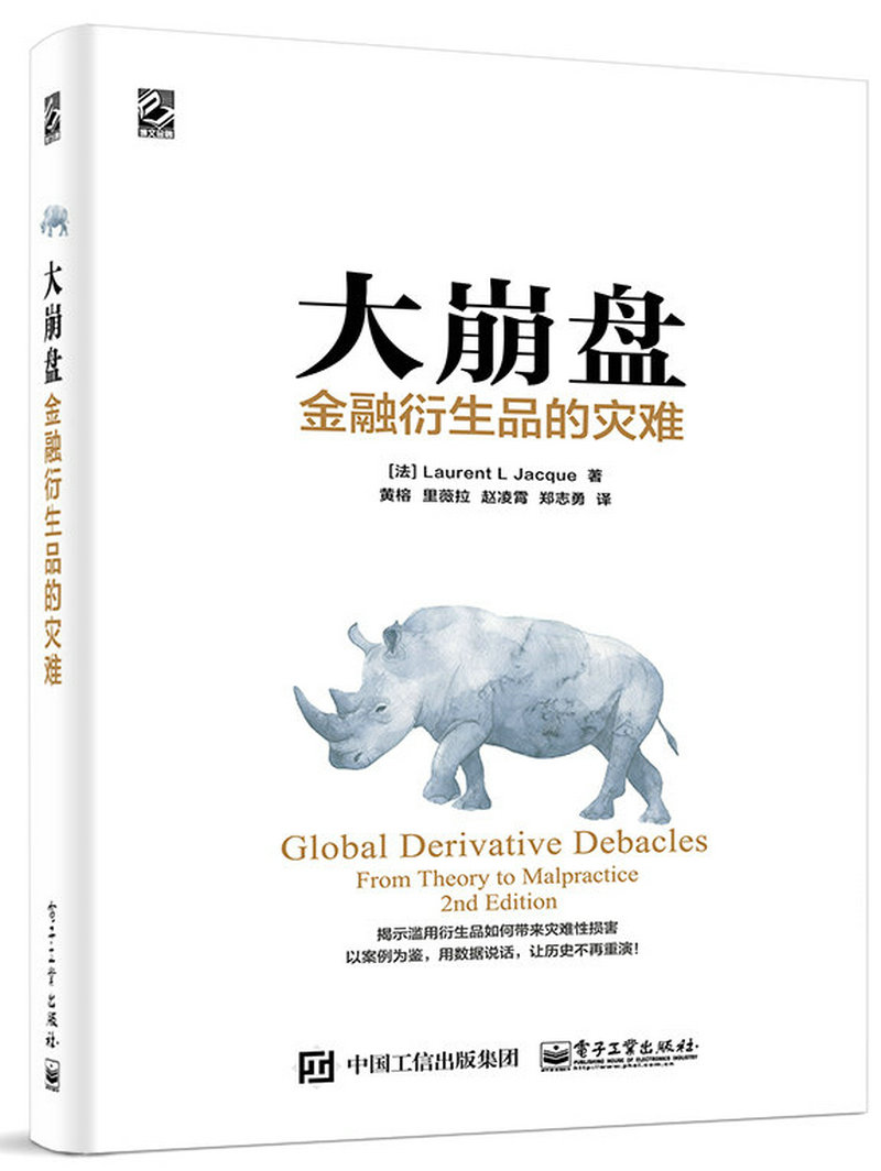 大崩盘：金融衍生品的灾难(博文视点出品)