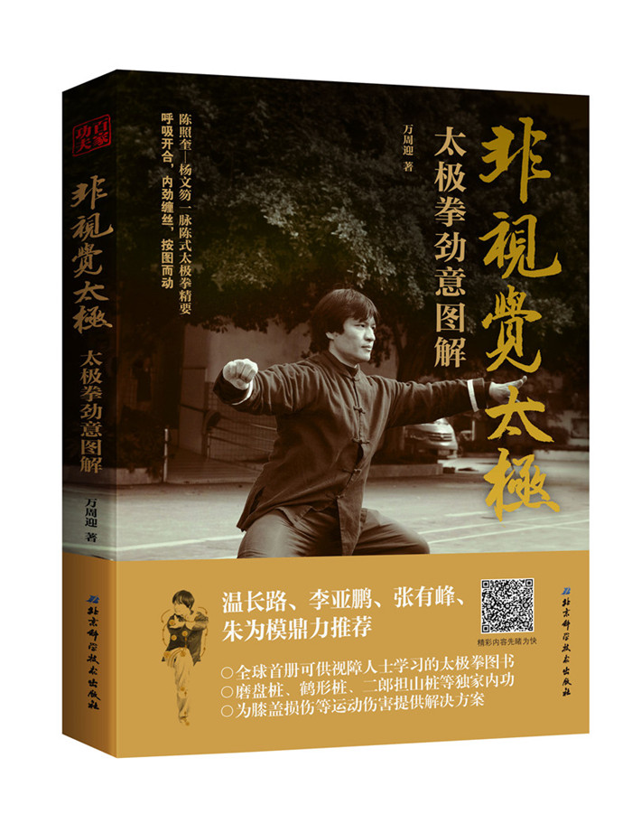 非视觉太极——太极拳劲意图解