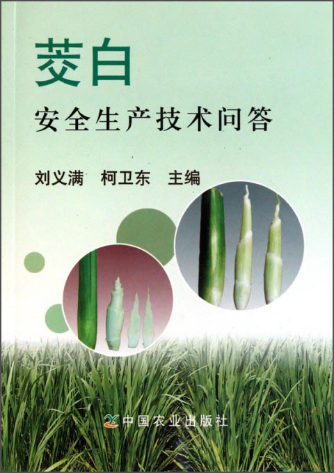 茭白安全生产技术问答