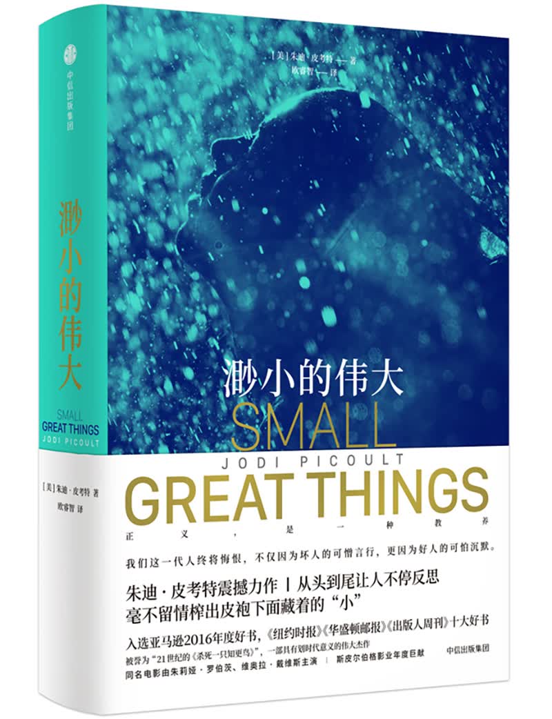 渺小的伟大 中信出版社