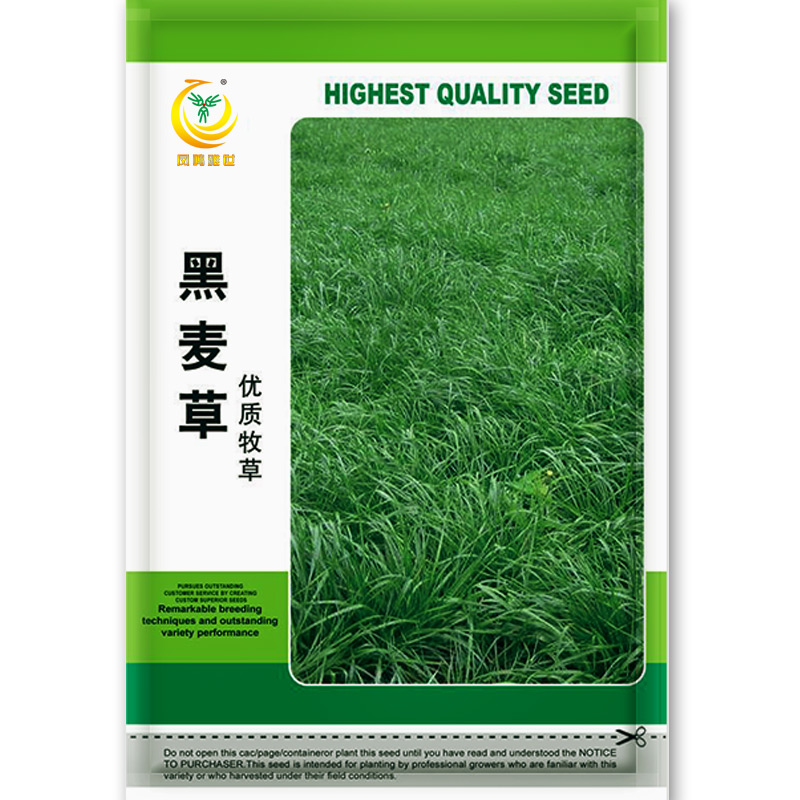 凤鸣雅世 牧草种批发草籽黑麦草牧紫花苜种子高丹草玉米草养鸡鸭鹅