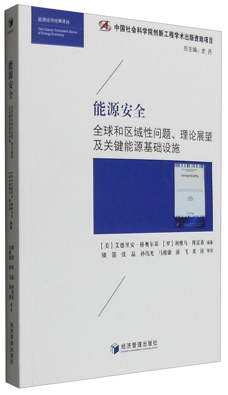 能源安全:全球和区域性问题,理论展望及关键能源基础设施
