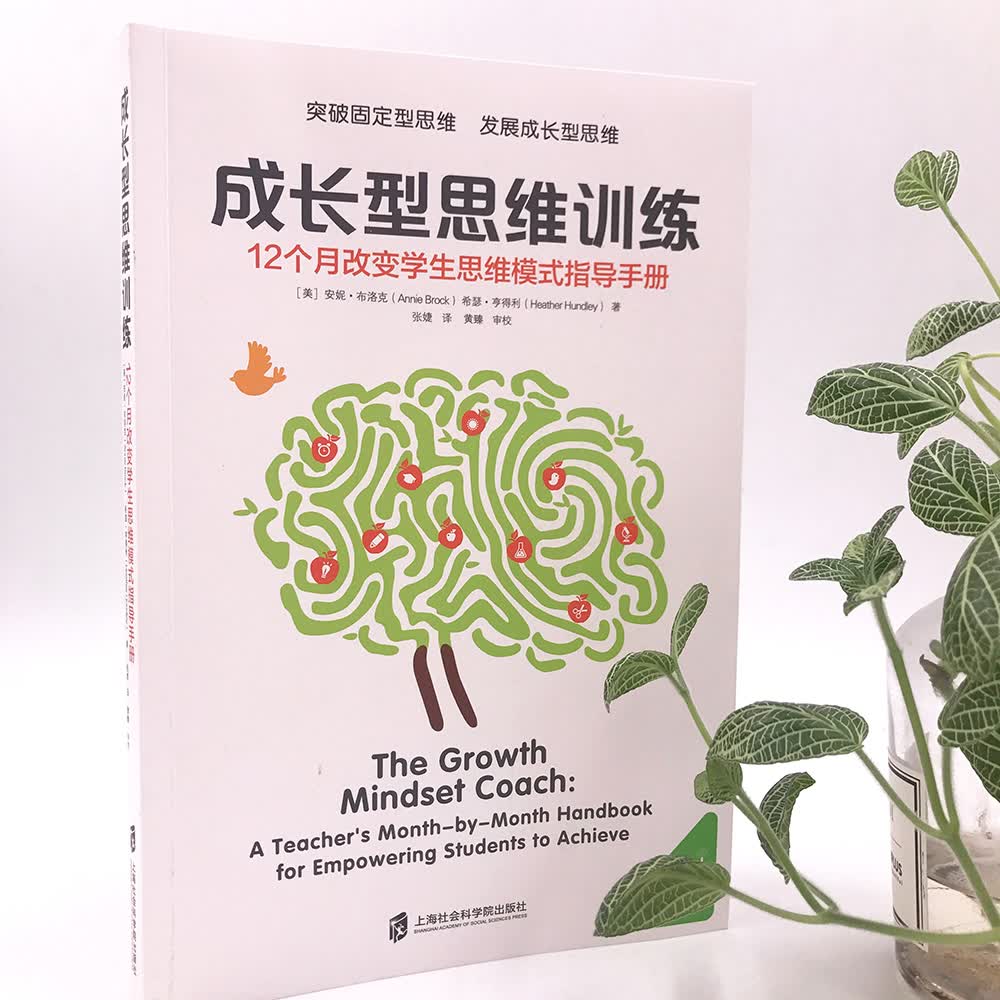 成长型思维训练：12个月改变学生思维模式指导手册详情图
