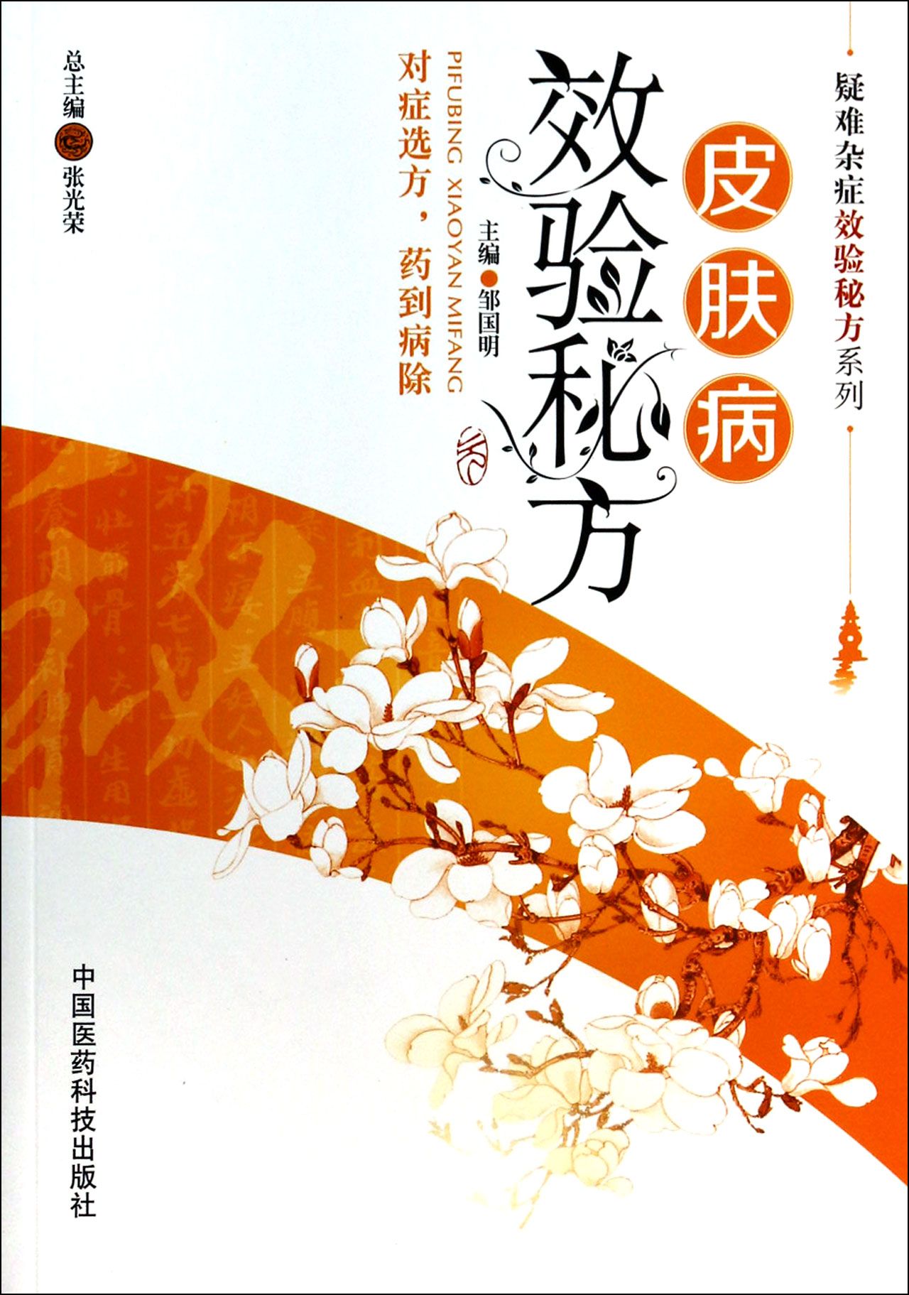 皮肤病效验秘方/疑难杂症效验秘方系列