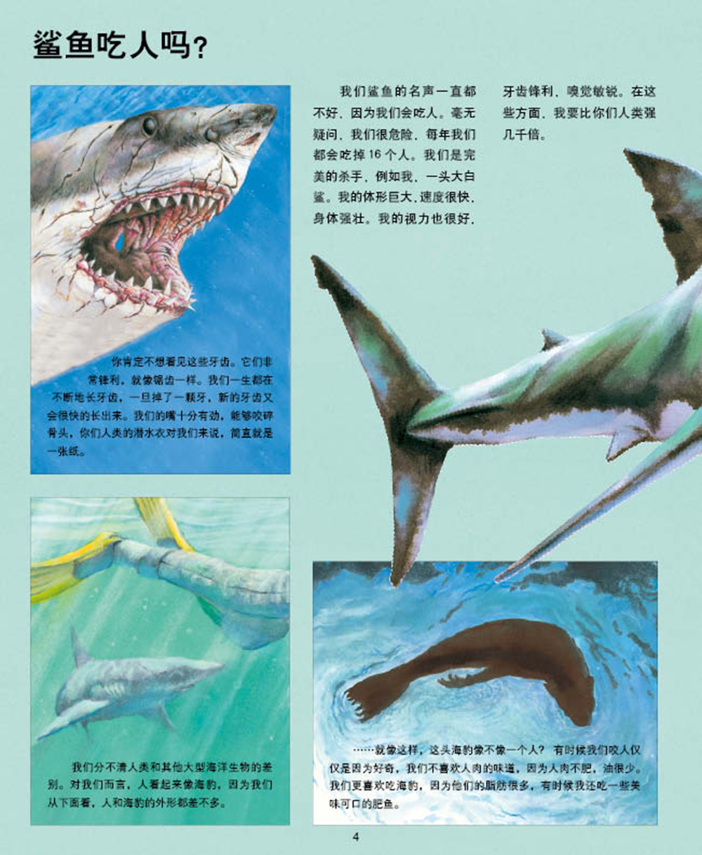 海豚科普绘本动物王国大探秘 第一辑听海洋生物讲故事详情图