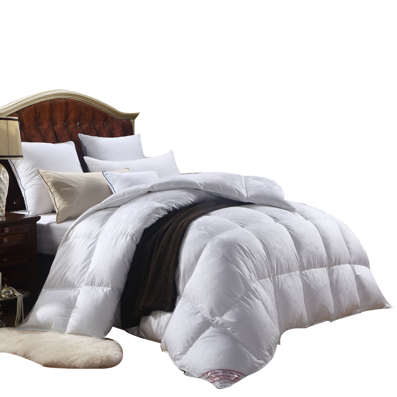 Դ ޱ95%ޱӺ˫ɱůޱо 95% 220*240cm6.2