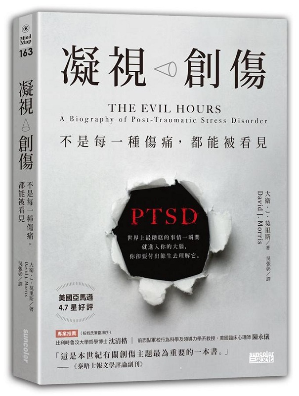 凝视创伤：不是每一种伤痛，都能被看见 港台原版 凝视创伤 大卫J莫里斯 三采 心理励志
