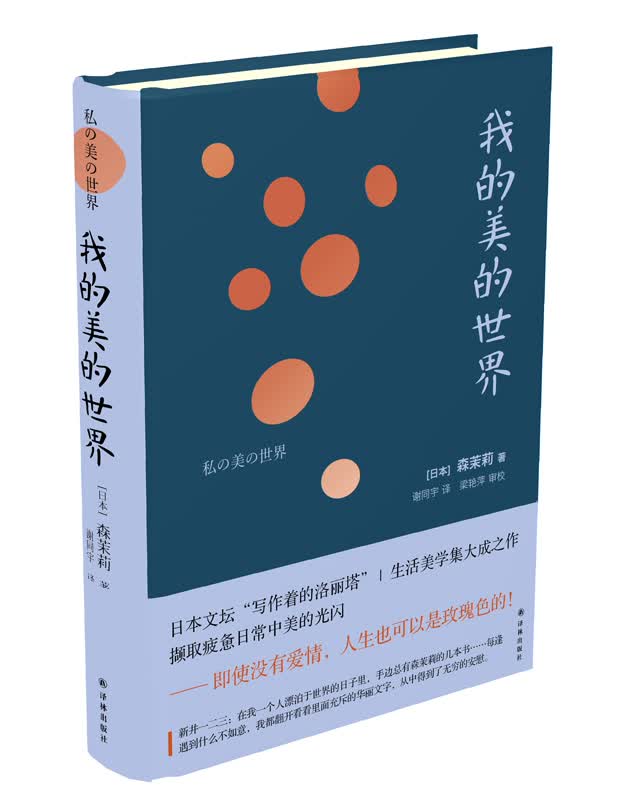 我的美的世界