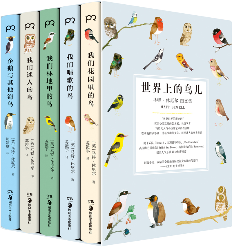 世界上的鸟儿：马特·休厄尔图文集（套装全5册）