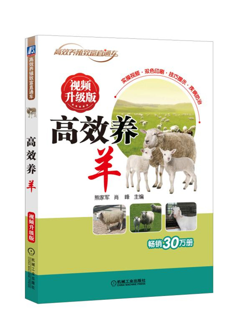 高效养羊 视频升级版