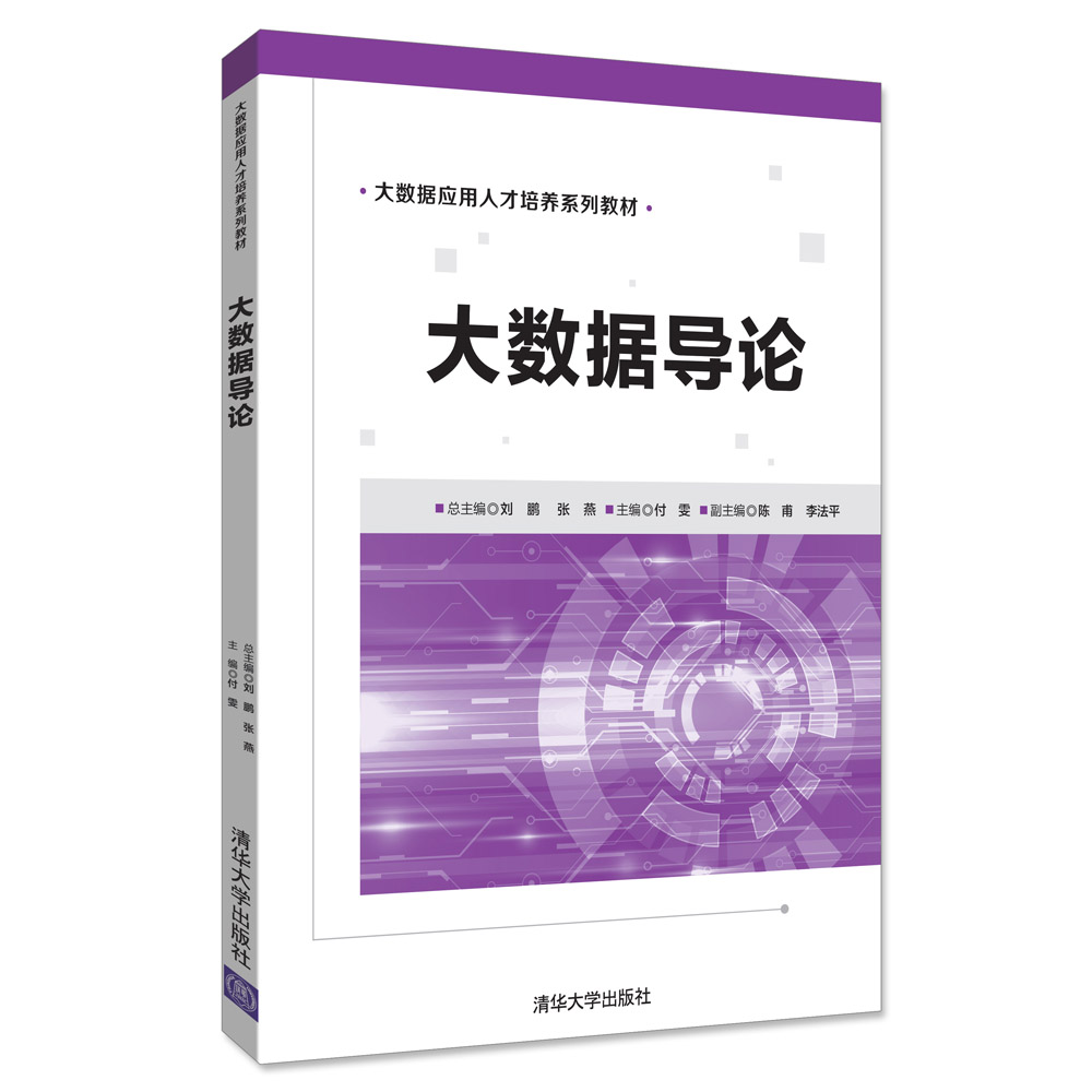 大数据导论/大数据应用人才培养系列教材