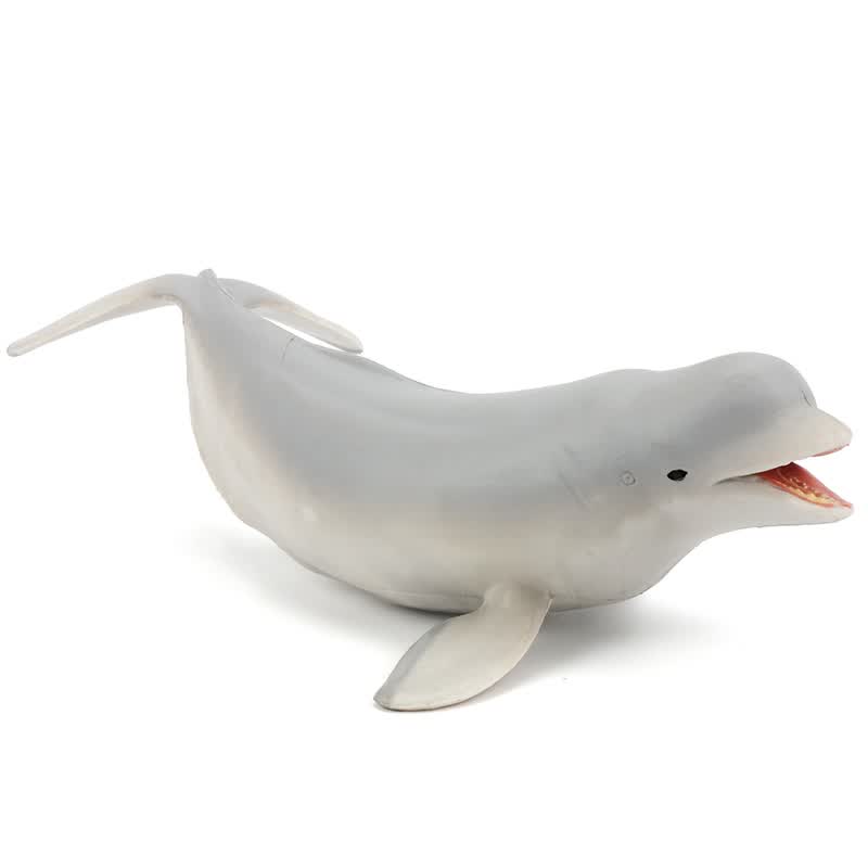 动物模型套装仿真鲨鱼海豚海狮男孩女孩早教认知摆件玩具礼物 白鲸