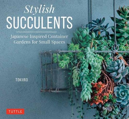 时髦的多肉植物:日式容器植物园 英文原版 stylish succulents