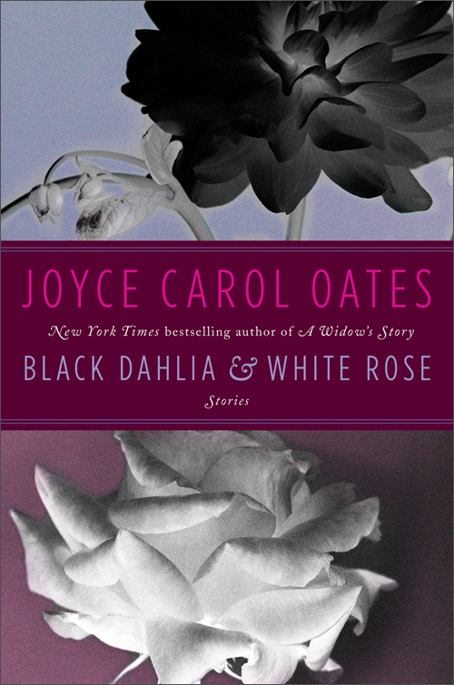 black dahlia & white rose