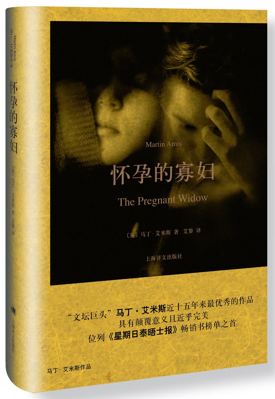 马丁·艾米斯作品：怀孕的寡妇