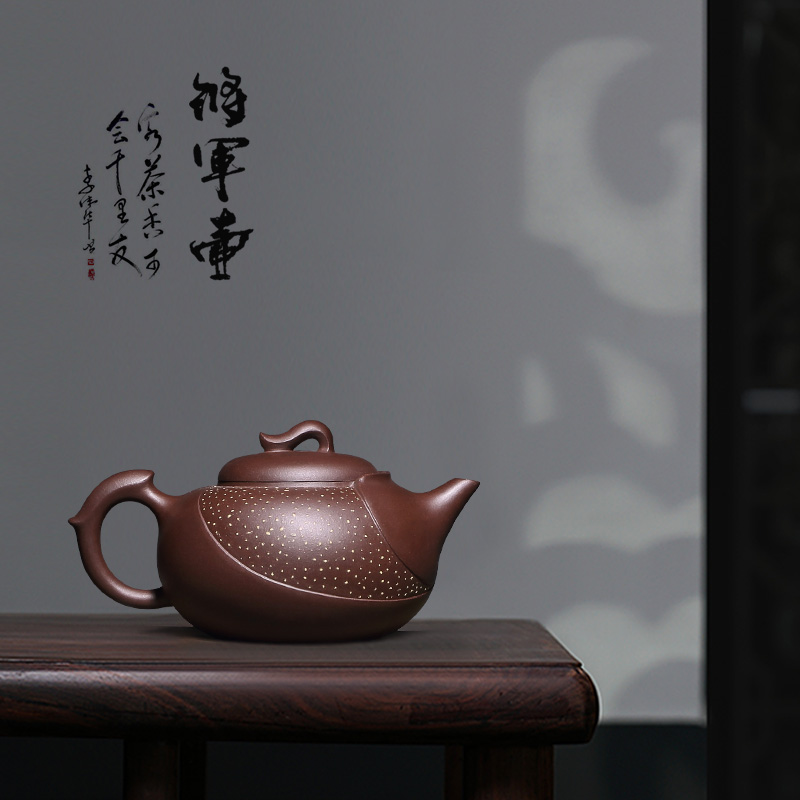 藏壶天下 宜兴原矿老紫泥紫砂壶名家高工倪新安手制全手工功夫壶具