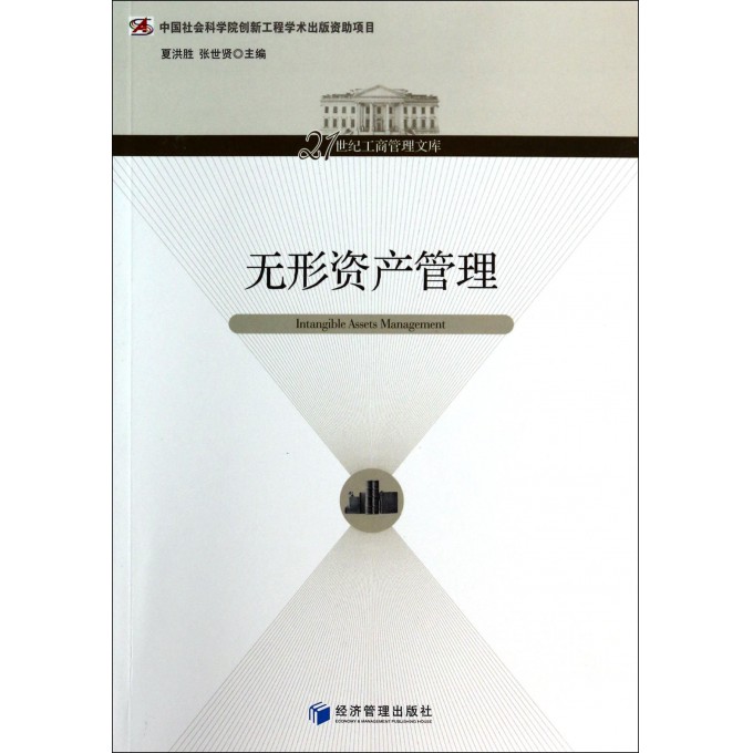 无形资产管理/21世纪工商管理文库