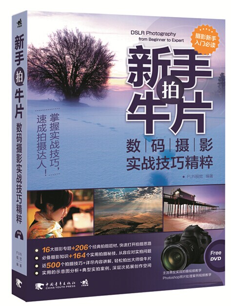 新手拍牛片:数码摄影实战技巧精粹