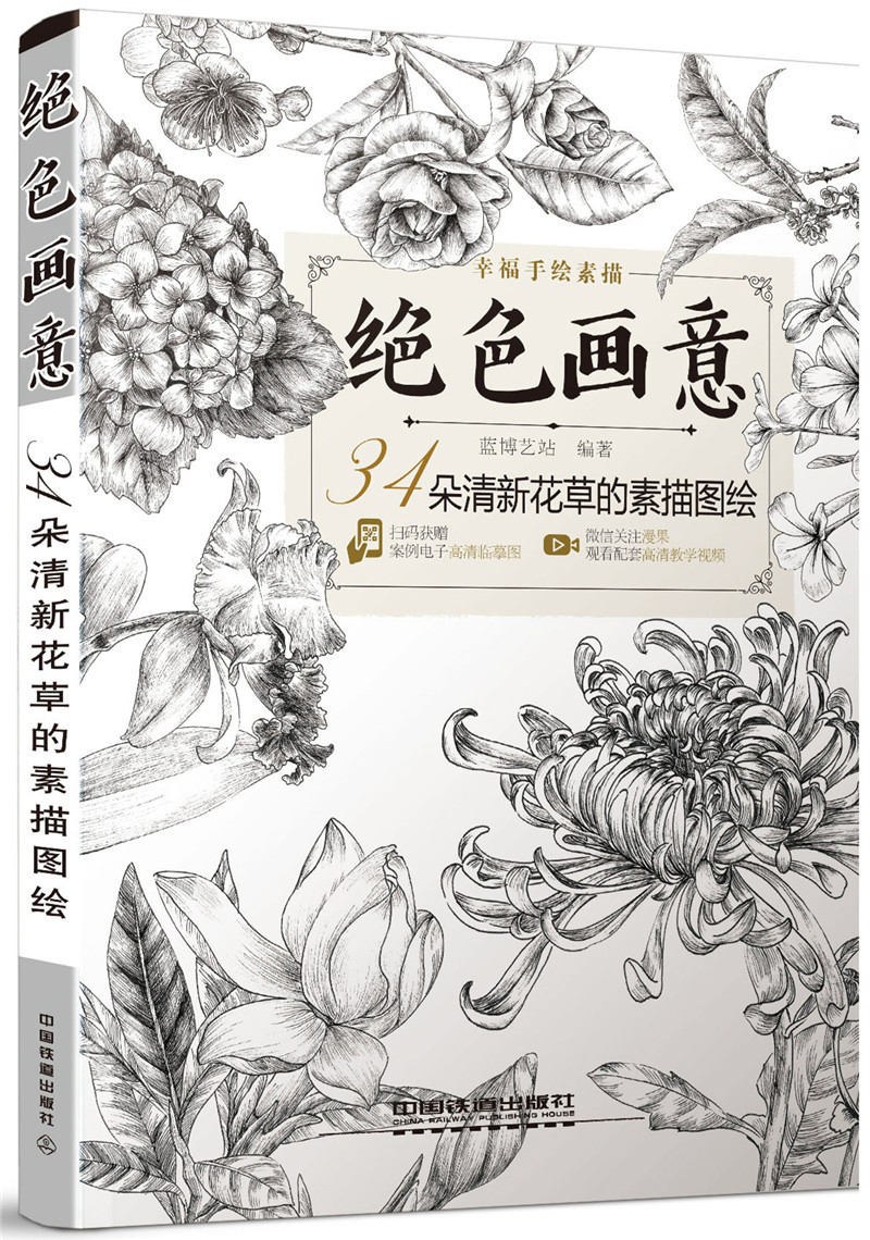 绝色画意  34朵清新花草的素描图绘