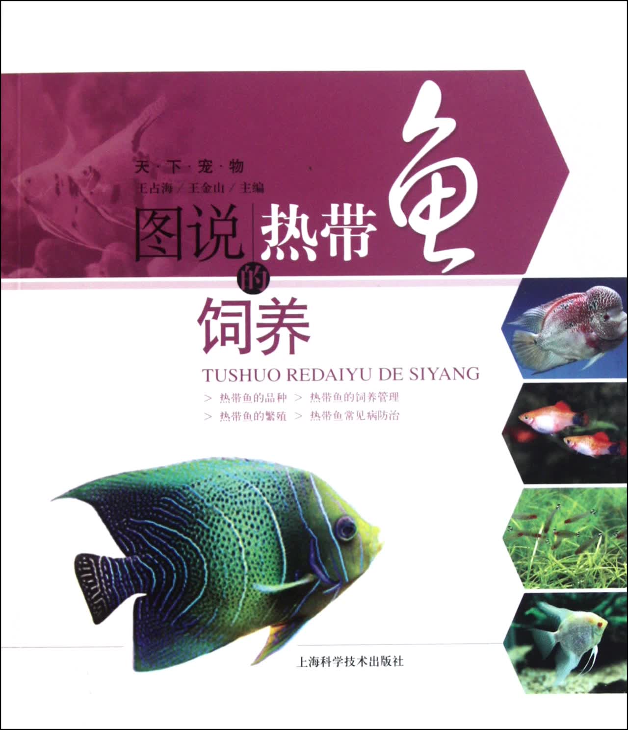 图说热带鱼的饲养/天下宠物