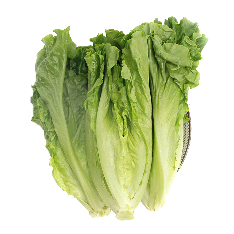 绿鲜知蔬菜怎么样 小生菜,配火锅,安逸!_什么值得买