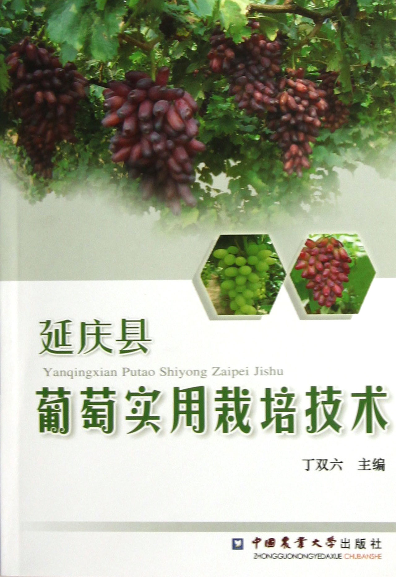 延庆县葡萄实用栽培技术