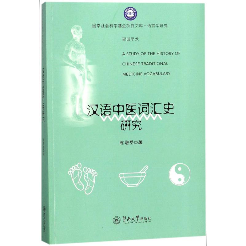 汉语中医词汇史研究