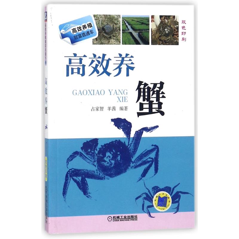 高效养蟹