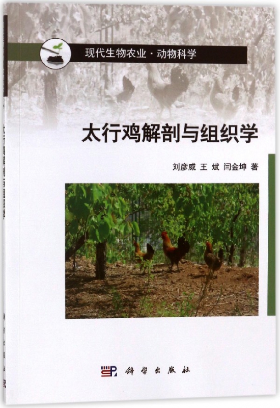 太行鸡解剖与组织学(动物科学现代生物农业)