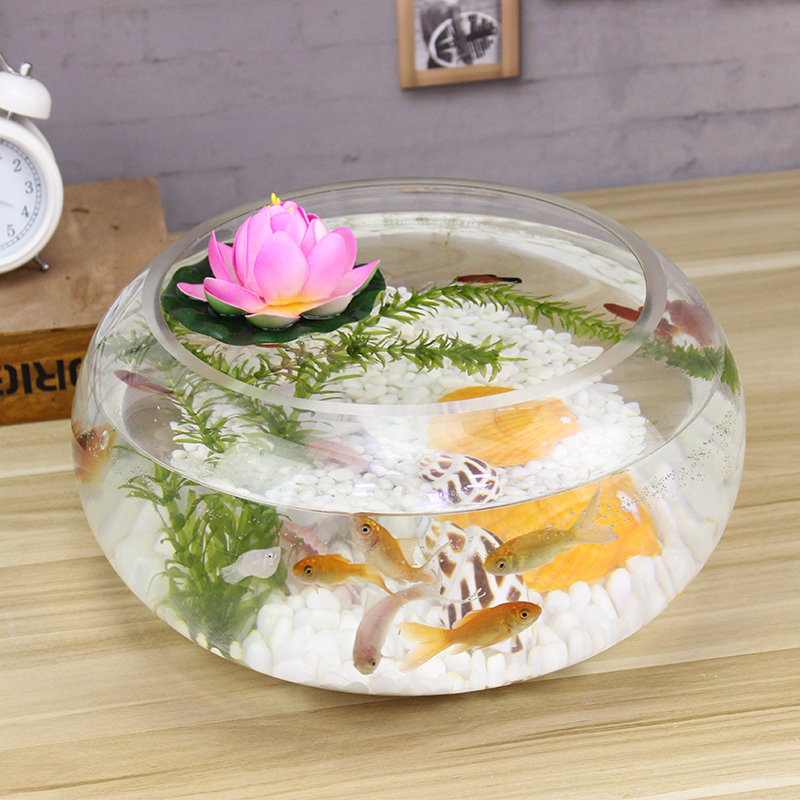 宝贝故事小鱼缸好不好优缺点实情?良心评测